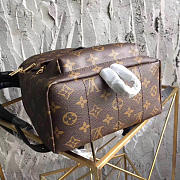 Louis Vuitton M41560 Palm Springs Backpack PM Monogram Canvas - 6