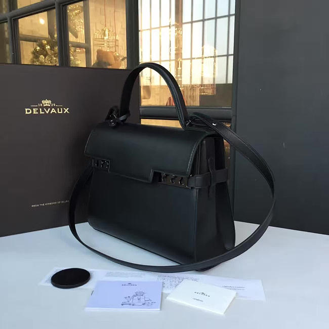 Delvaux Handbag - 1