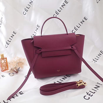 Celine Belt bag 1170