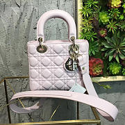 MiNi Lady Dior 1769 - 1