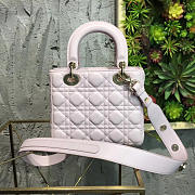 MiNi Lady Dior 1769 - 2