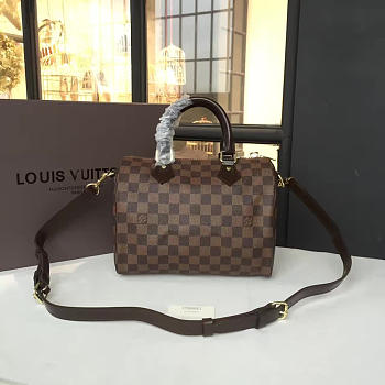 Louis Vuitton SPEEDY 25 3205