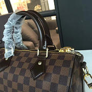 Louis Vuitton SPEEDY 25 3205 - 5