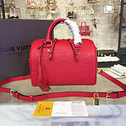 Louis Vuitton SPEEDY 25 3207 - 1