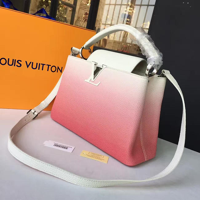 Louis Vuitton CAPUCINES 3472 - 1