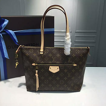 Louis Vuitton IENA PM