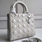 Lady Dior 1618 - 1