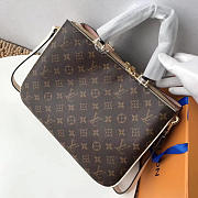 Louis Vuitton Saintonge Millefeuille M44255 Camera Shoulder bag - 6