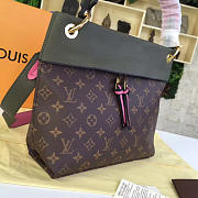 Louis Vuitton TUILERIES BESACE 3053 - 4