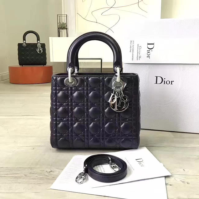 Lady Dior 1581 - 1