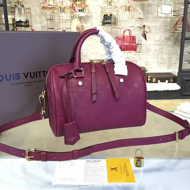 Louis Vuitton SPEEDY 25 3213 - 1