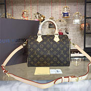 LOUIS VUITTON SPEEDY 25 3219 - 2