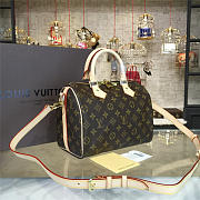 LOUIS VUITTON SPEEDY 25 3219 - 3