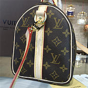 LOUIS VUITTON SPEEDY 25 3219 - 5