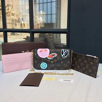 Louis Vuitton POCHETTE FELICIE 3564