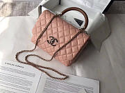 Chanel Flap Bag Pink - 1