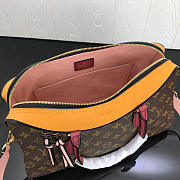 Louis Vuitton TUILERIES Bag - 2