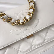 Chanel Flap Bag white AS0074 - 2