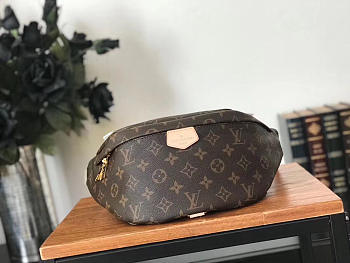 Louis Vuitton BUMBAG M43644