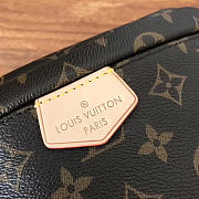 Louis Vuitton BUMBAG M43644 - 2