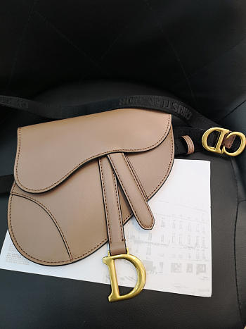 DIOR SADDLE CALFSKIN BELT BAG IN PINK