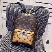 LOUIS VUITTON PALM SPRINGS BACKPACK PM M43116 - 1