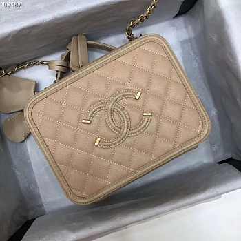 Chanel Vanity Bag all Beige 