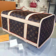 Louis Vuitton DOG CARRIER 40 - 2