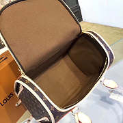 Louis Vuitton DOG CARRIER 40 - 5