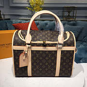 Louis Vuitton DOG CARRIER 40 - 6