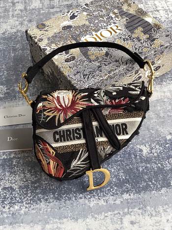 Dior Saddle Bag 001