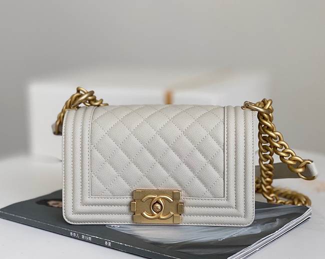 Chanel Samll Leboy Caviar Leather in White - 1