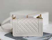 Chanel Samll Leboy Caviar Leather in White - 5