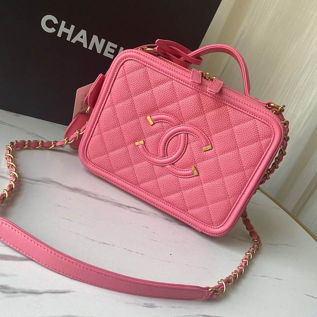 Chanel Vanity Bag  - 1