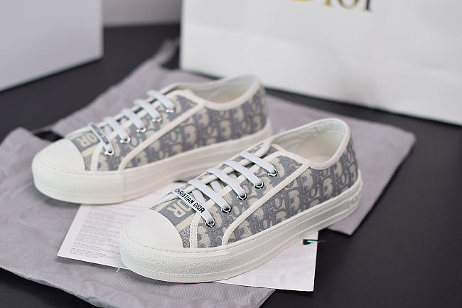 DIOR SNEAKER in Gray - 1