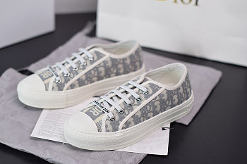 DIOR SNEAKER in Gray