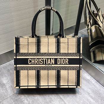 Dior small book tote 