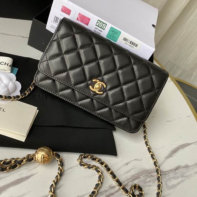 Chanel WOC New - 1