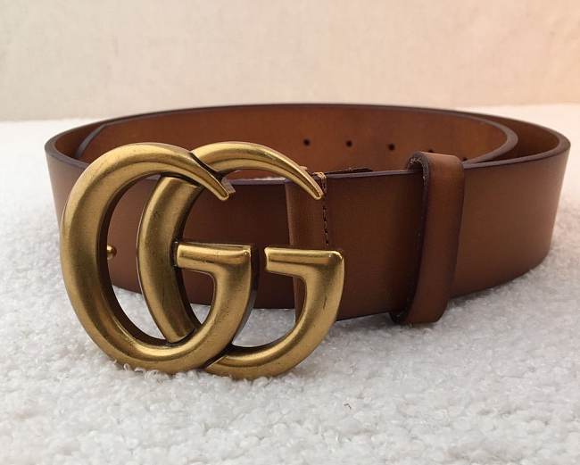 Gucci Belt Brown  - 1