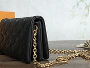 LV Pochette Coussin Bag Black 20cm - 2