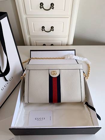 Gucci Ophidia Bag 