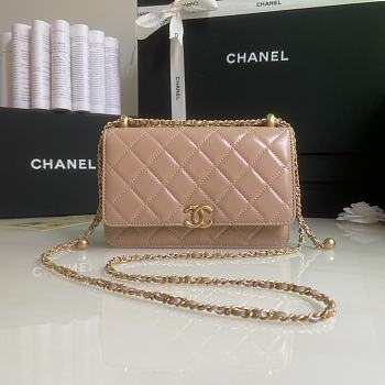 Chanel WOC AP2289