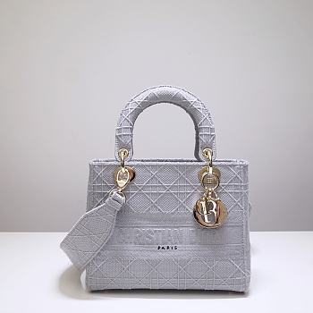 Dior Lady D-lite in gray 24cm