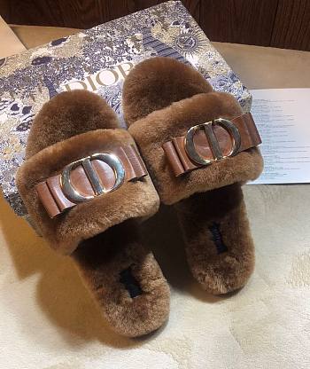 Dior Slipper 011