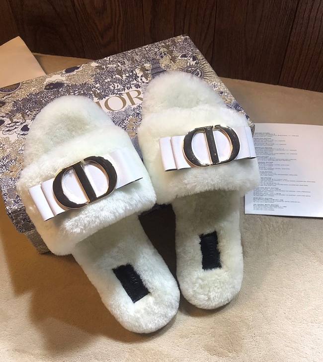 Dior Slipper 012 - 1