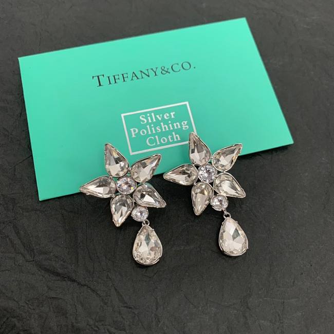 Tiffany & Co Earings - 1