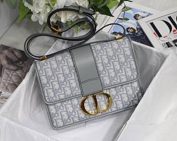 Dior Montaigne Oblique gray bag