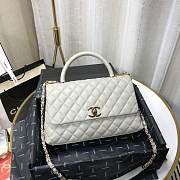 Chanel Coco Grained Calfskin Gray Flap Bag 29cm - 3