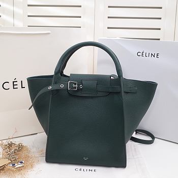 Celine Small Bag Tote green 183313