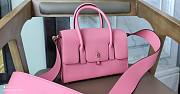 Hermes Darg pink 22cm - 1